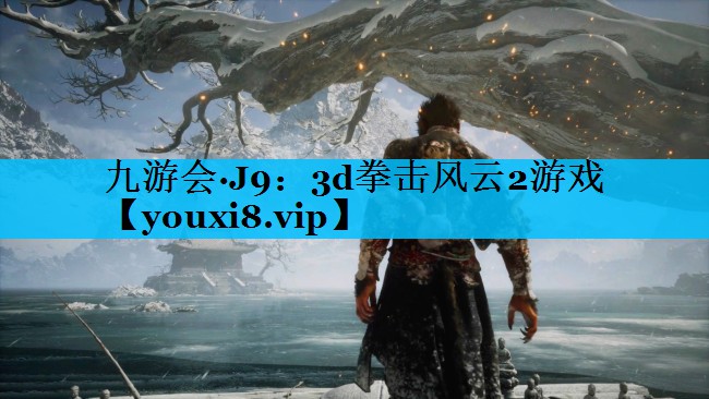 九游会·J9：3d拳击风云2游戏
