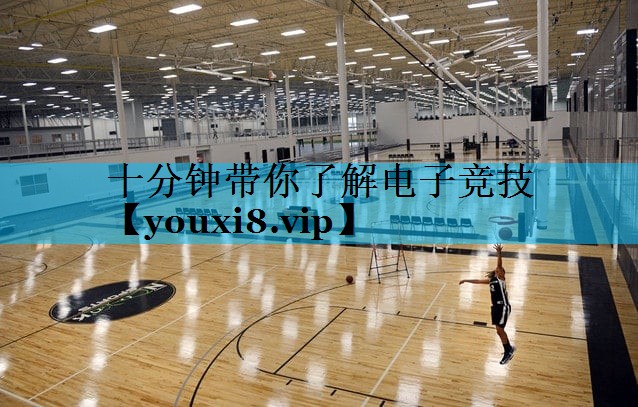十分钟带你了解电子竞技