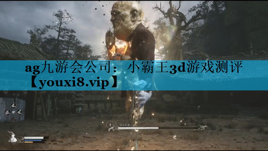 ag九游会公司：小霸王3d游戏测评