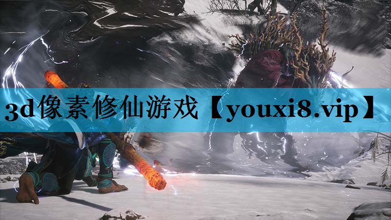 3d像素修仙游戏